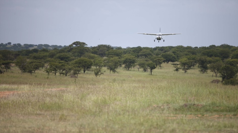 Tanzania Serengeti Kleins Camp Ankunft mit dem Flugzeug