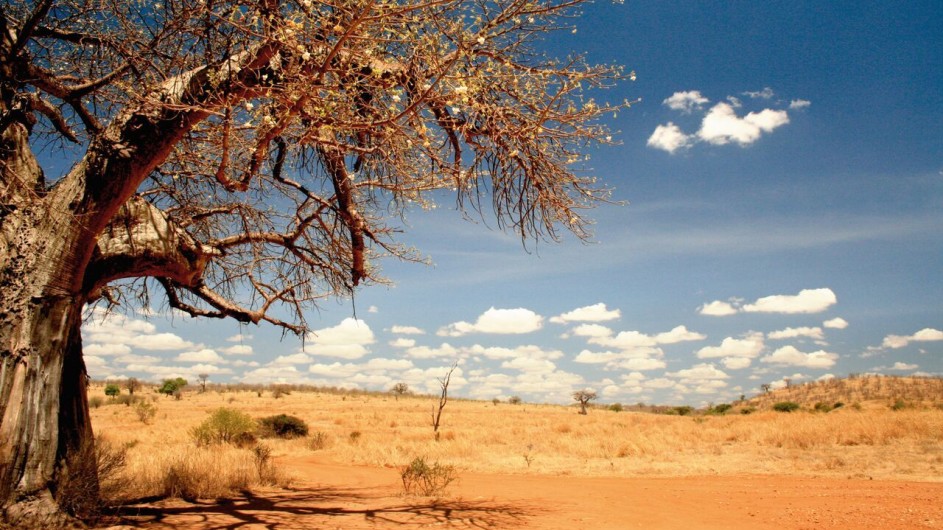 Tanzania Ruaha Nationalpark