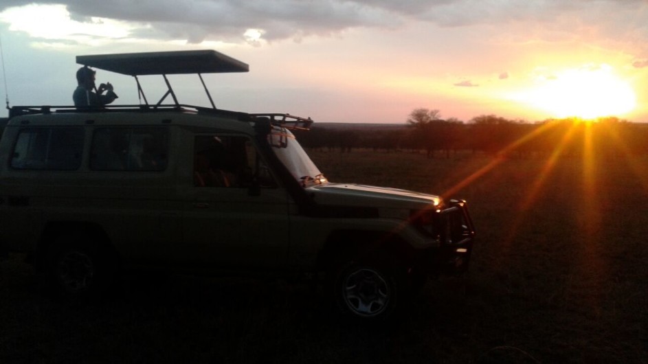 Tanzania Wilkinson Tours Safarifahrzeug