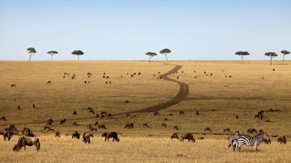 Tanzania Serengeti