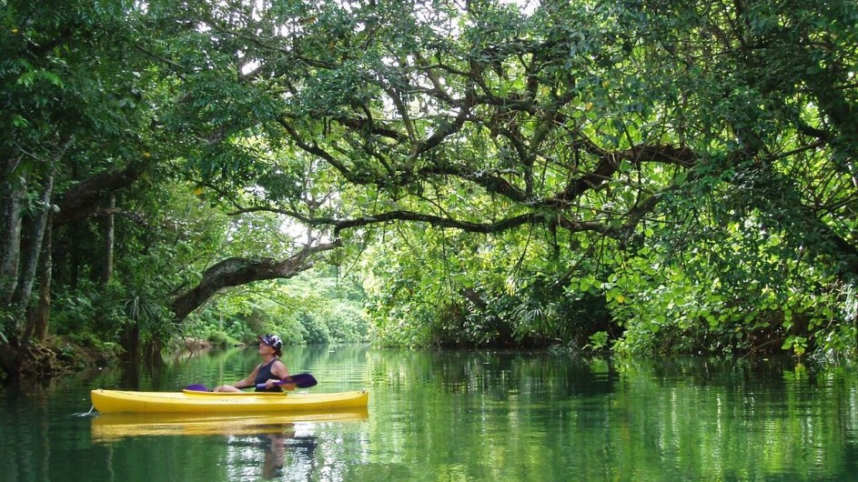 Vanuatu Efate Ecotours Kayakausflug