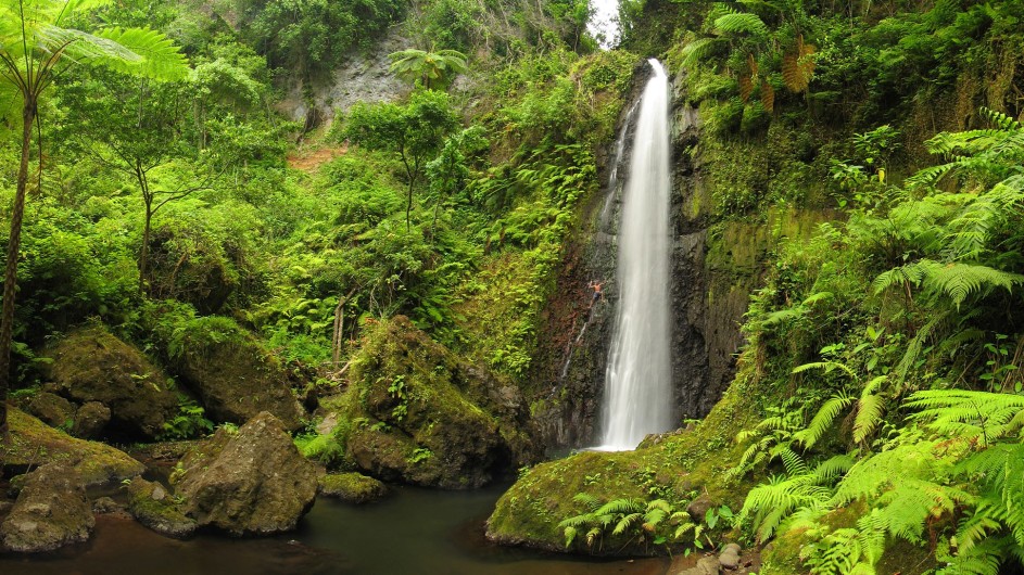 Vanuatu Tanna tropischer Wasserfall