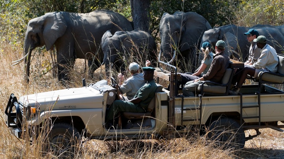 Zambia Nkwali Pirschfahrt mit Elefanten