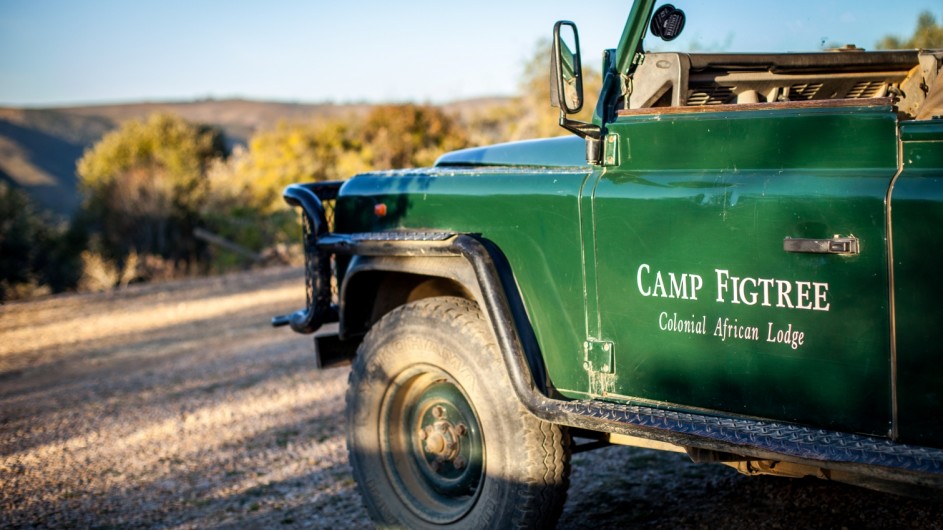 Südafrika Addo Nationalpark Camp Figtree Safarifahrzeuge