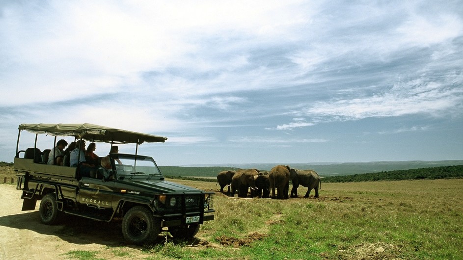 Südafrika Addo Nationalpark Woodall Country House Pirschfahrt mit Elefanten