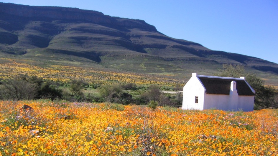 Südafrika Cederberge Enjo Nature Farm Chalet in Blumen