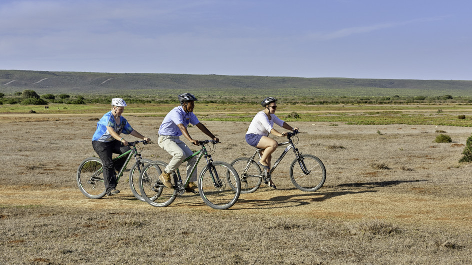 Südafrika De Hoop Collection Fahrradtour