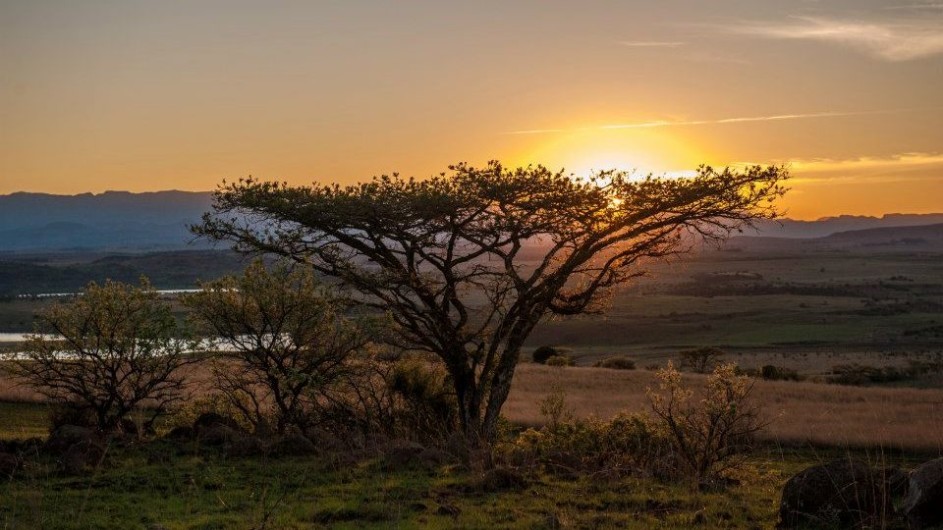 Südafrika Drakensberge Three Tree Hill Lodge Landschaft