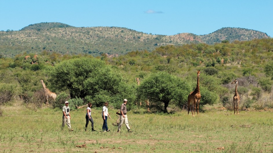 Südafrika Madikwe Safari Lodge Bush Walk