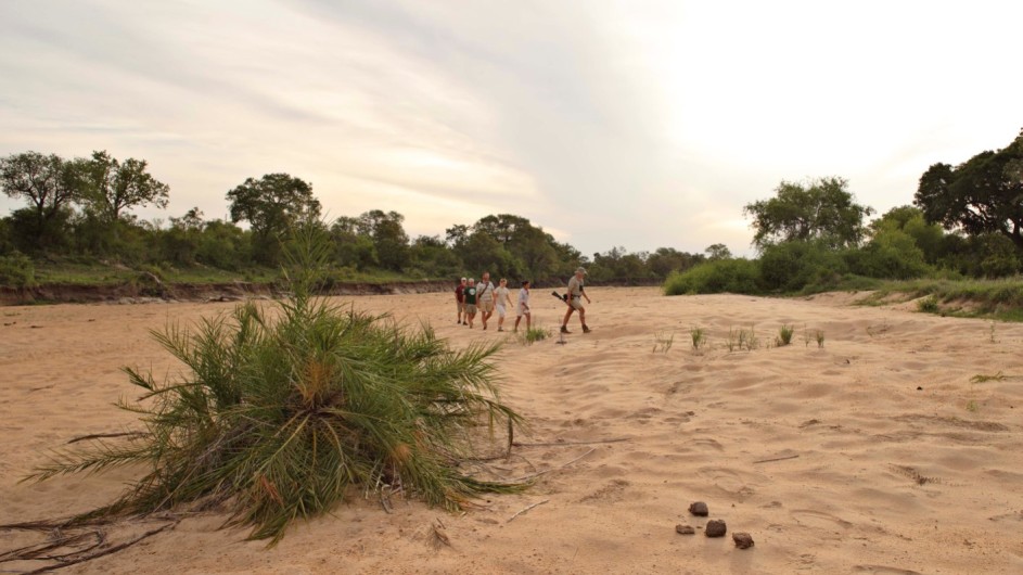 Südafrika Krüger Nationalpark Ngala Tented Camp Fußpirsch