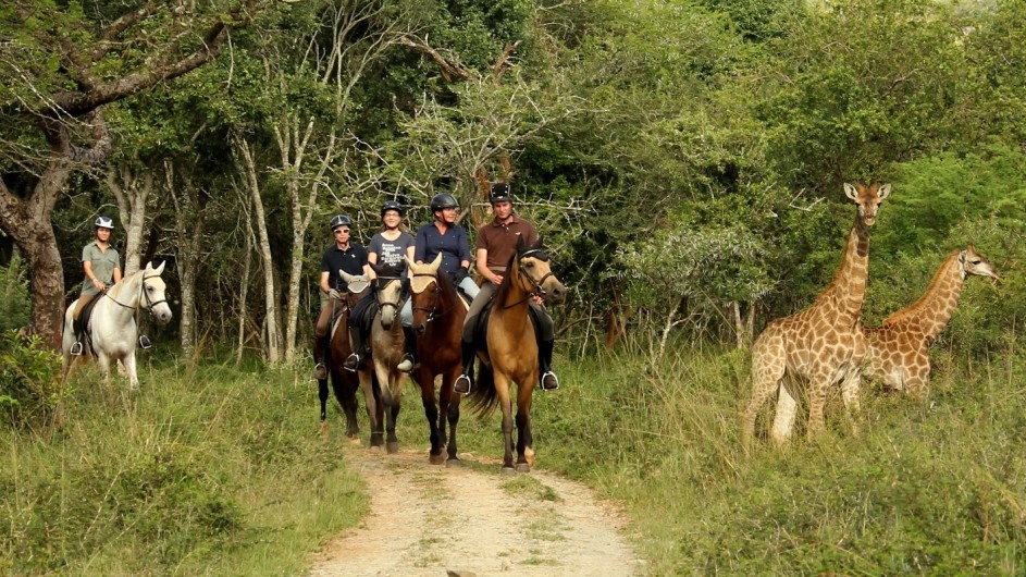 Südafrika Pakamisa Private Game Reserve Ausritt