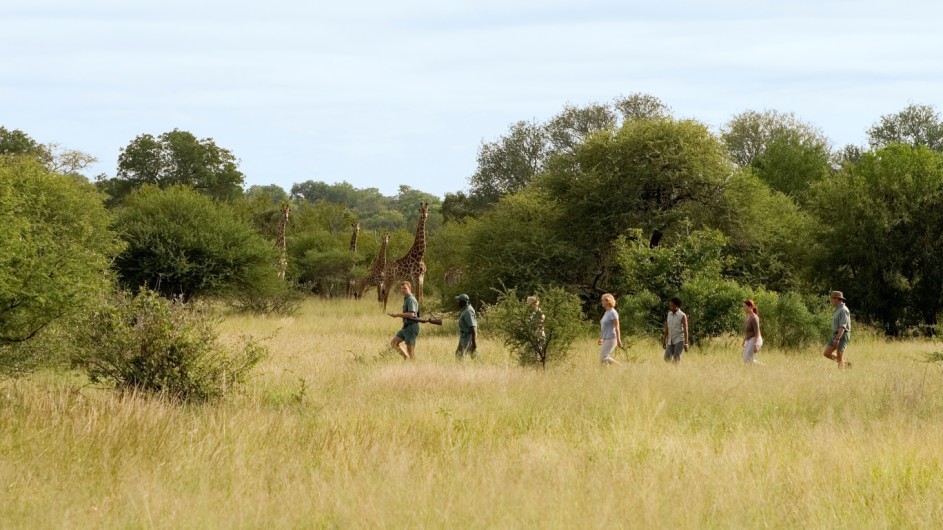 Südafrika Krüger Nationalpark Rhino Walking Safari