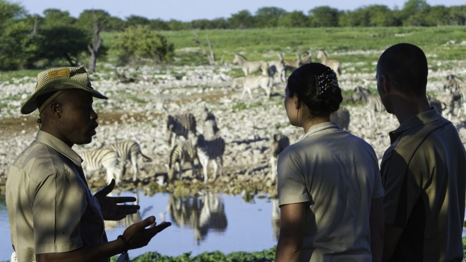 Namibia Etosha Nationalpar Anderssons Camp Ansicht Guide am Wasserloch