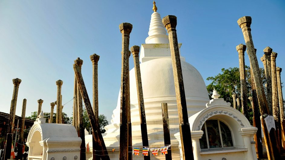 Sri Lanka Chamäleon Reisen Kleingruppenreise Kandy Anuradhapura