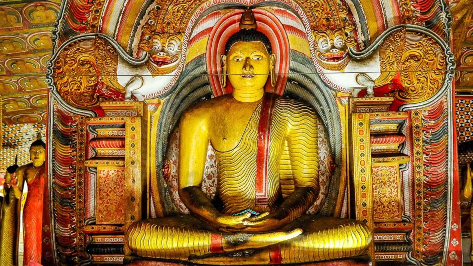 Sri Lanka Chamäleon Reisen Kleingruppenreise Jaffna Dambulla Buddha
