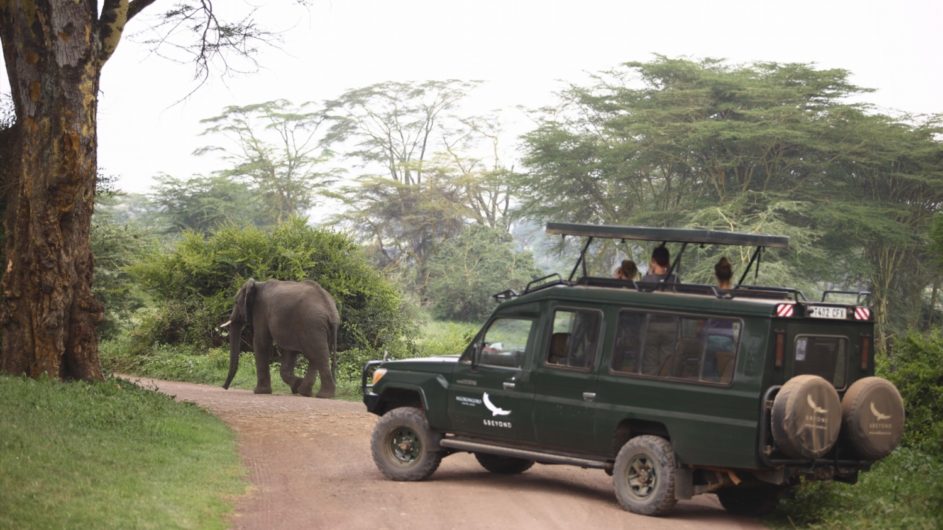 Tanzania andBeyond Ngorongoro Crater Lodge Pirschfahrt Elefant