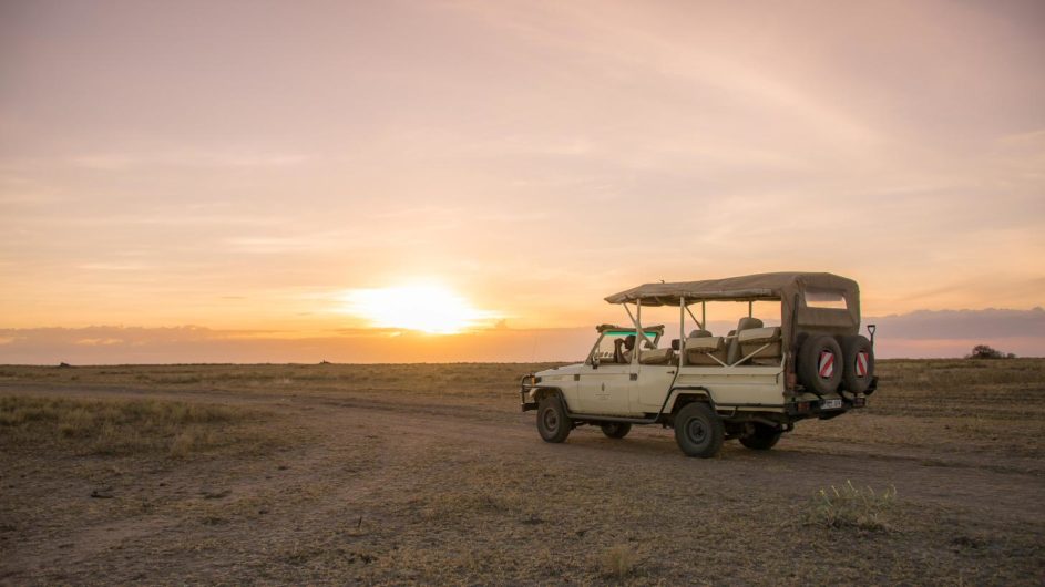 Tanzania Serengeti Sanctuary Kusini Pirschfahrt