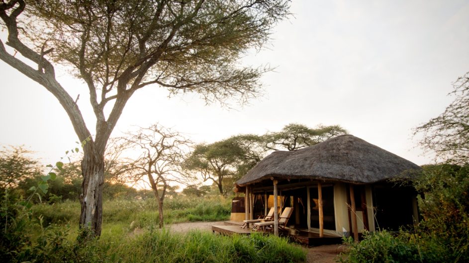 Tanzania Tarangire Nationalpark Sailia Olivers Camp Zimmer Ansicht