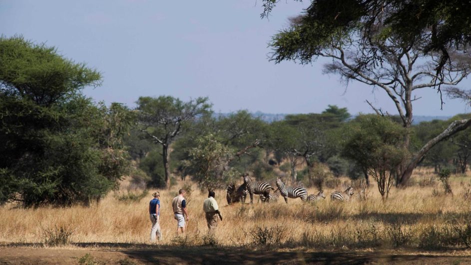 Tanzania Tarangire Nationalpark Sanctuary Swala Camp Fußpirsch