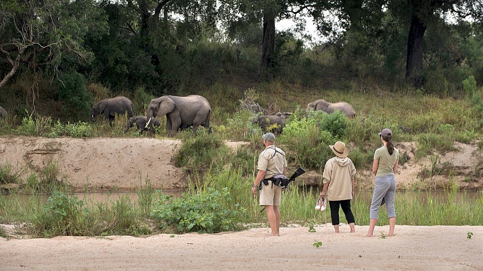 Südafrika - Dulini River Lodge - Fußpirsch