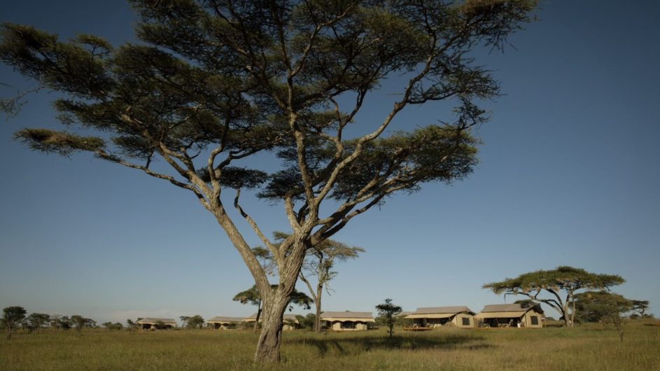 Tanzania - Luxus Safari - Siringit Serengeti Camp - Ansicht