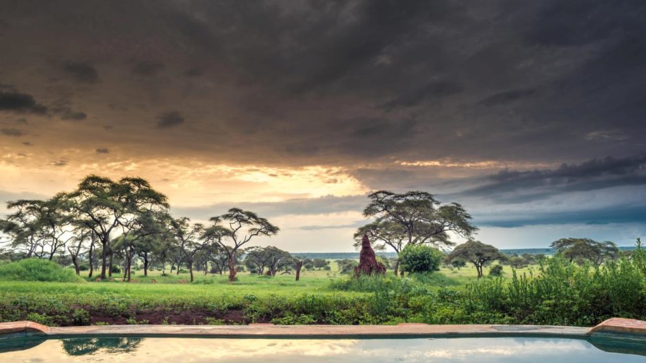 Africa; Tanzania; Sanctuary Swala