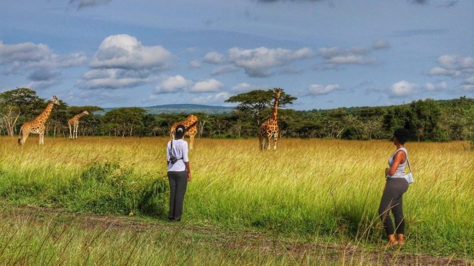 Uganda - Great Lakes Safaris - Lake Mburo NP - Pirsch zu Fuß - Wanderung