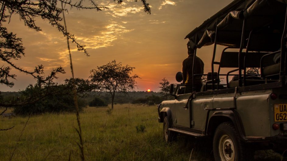 Uganda - Great Lakes Safaris - Lake Mburo NP - Pischfahrt abends - Nachtfahrt