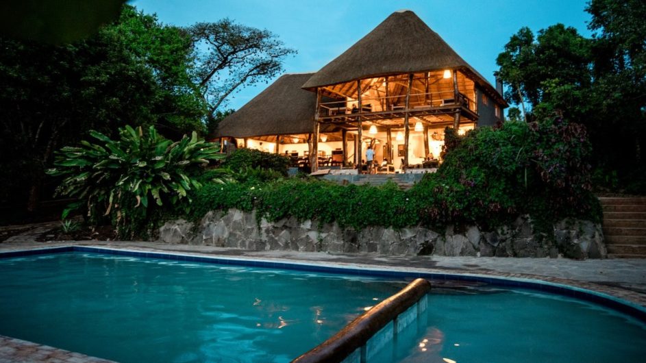 Uganda - Great Lakes Safaris -Turaco Treetops Lodge - Haupthaus mit Pool