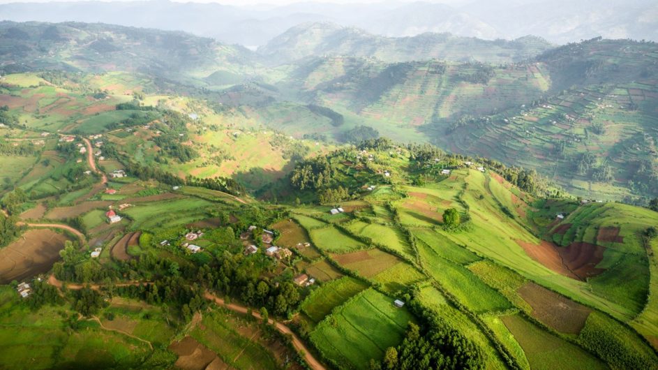 Uganda - Sanctuary Forest Lodge - Areal