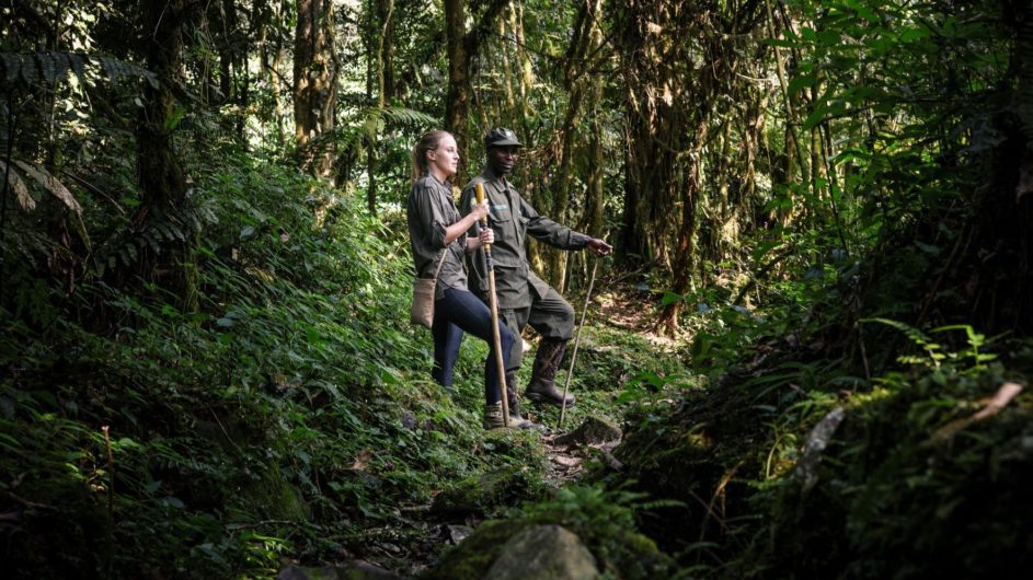 Uganda - Sanctuary Forest Lodge - Wanderung