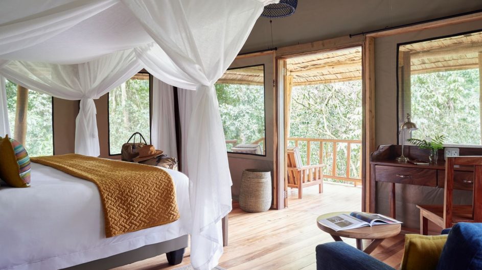 Uganda - Sanctuary Forest Lodge - Zimmer - c Mark Williams
