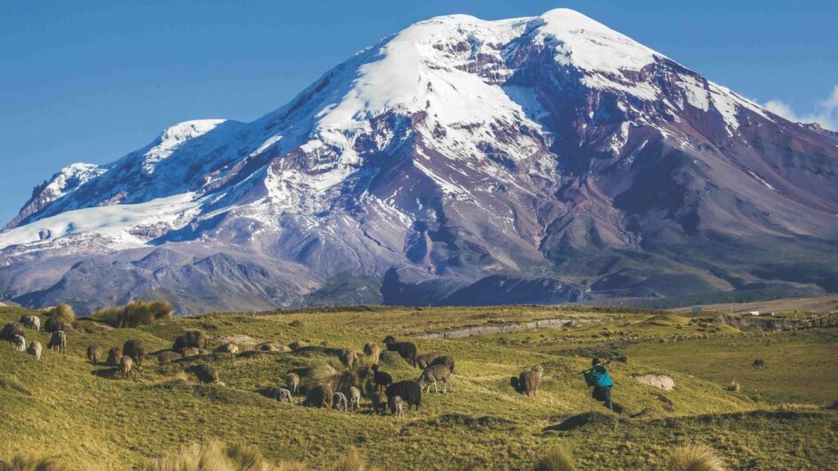 Ecuador - Bezauberndes Ecuador - Chimborazo