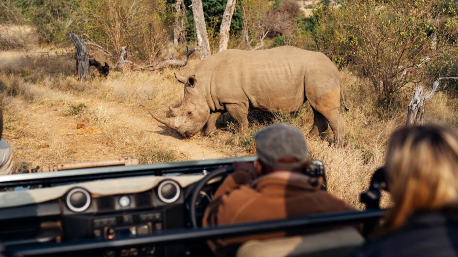 Südafrika - Krüger NP - Simbavati River Lodge - Game Drive - c Simbavati Lodge Collection