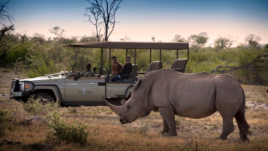 Südafrika - Madikwe Game Reserve - Jaci´s Safari Lodge - Game Drive