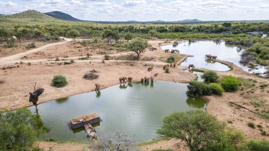 Südafrika - Madikwe Game Reserve - Jaci´s Safari Lodge - Game Reserve