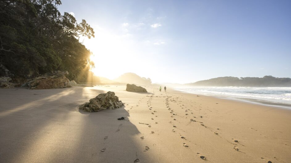 Neuseeland - Coromandel - Hot Water Beach 2 - Tourism NZ - c Miles Holden