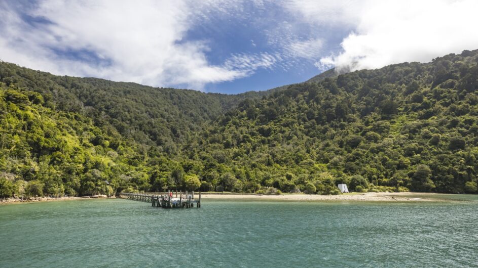 Neuseeland - Marlborough Sounds - Tourism NZ - c Miles Holden