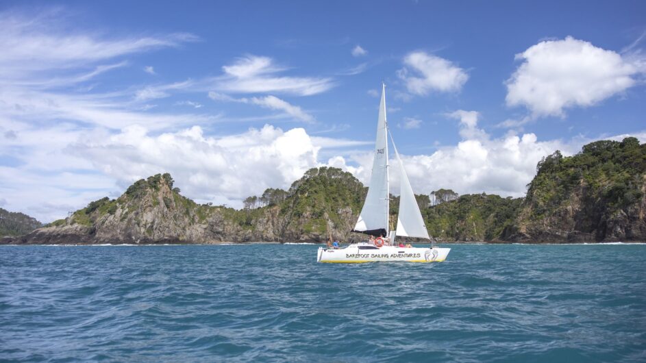 Neuseeland - Northland - Paihia - Barefoot Sailing Adventures - Tourism NZ - c Miles Holden