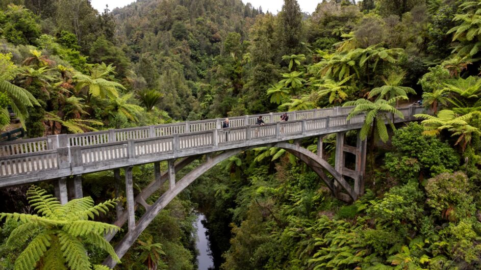 Neuseeland - Rototura - Bridge to Nowhere - Intrepid