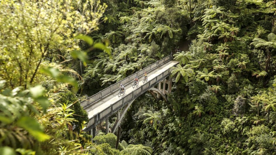 Neuseeland - Whanganui National Park - Bridge to Nowhere - Tourism NZ - c Visit Ruapehu